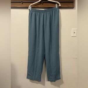 DRAPER’S & DAMON’S Women’s Aqua Pull-On Pants Pockets Size Large (1458)